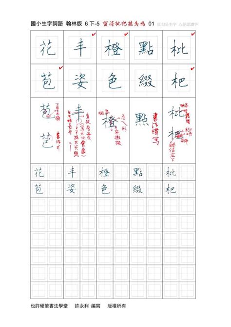 留得枇杷聽鳥鳴|翰林六下第五課 留得枇杷聽鳥鳴單詞卡 